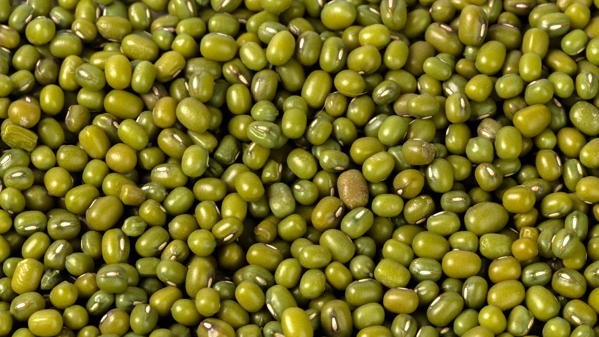 Бобы мунг Moong Beans