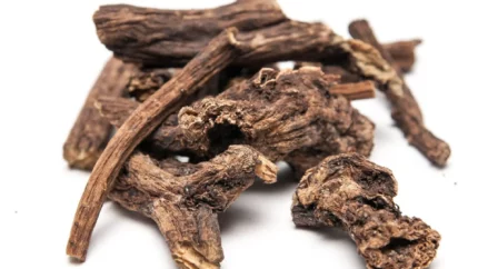 Корень костуса