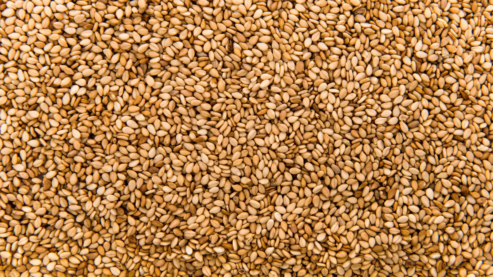 Кунжутные семена Sesame Seeds