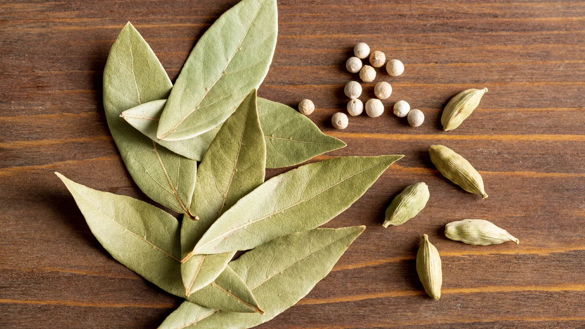 Листья сенны Senna Leaves