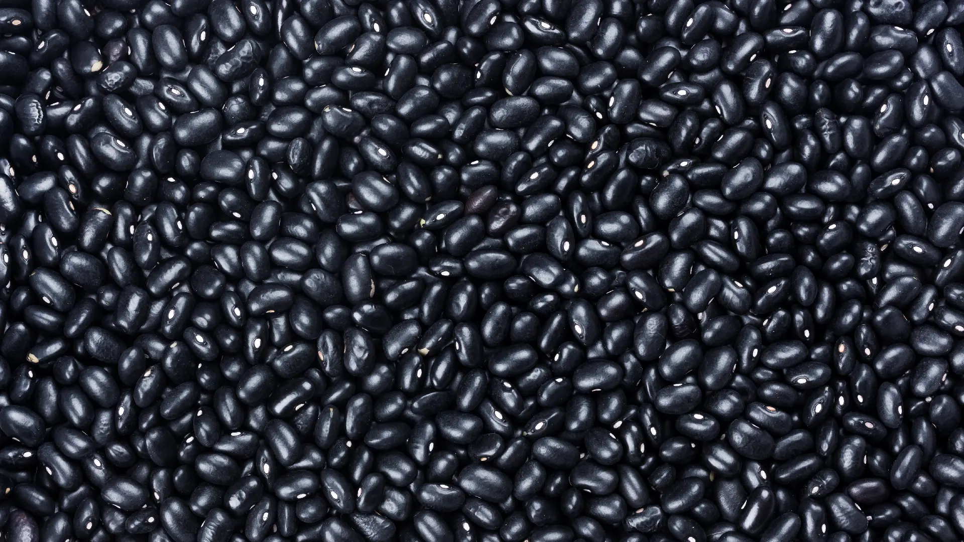 Урад (чёрная чечевица) Urad