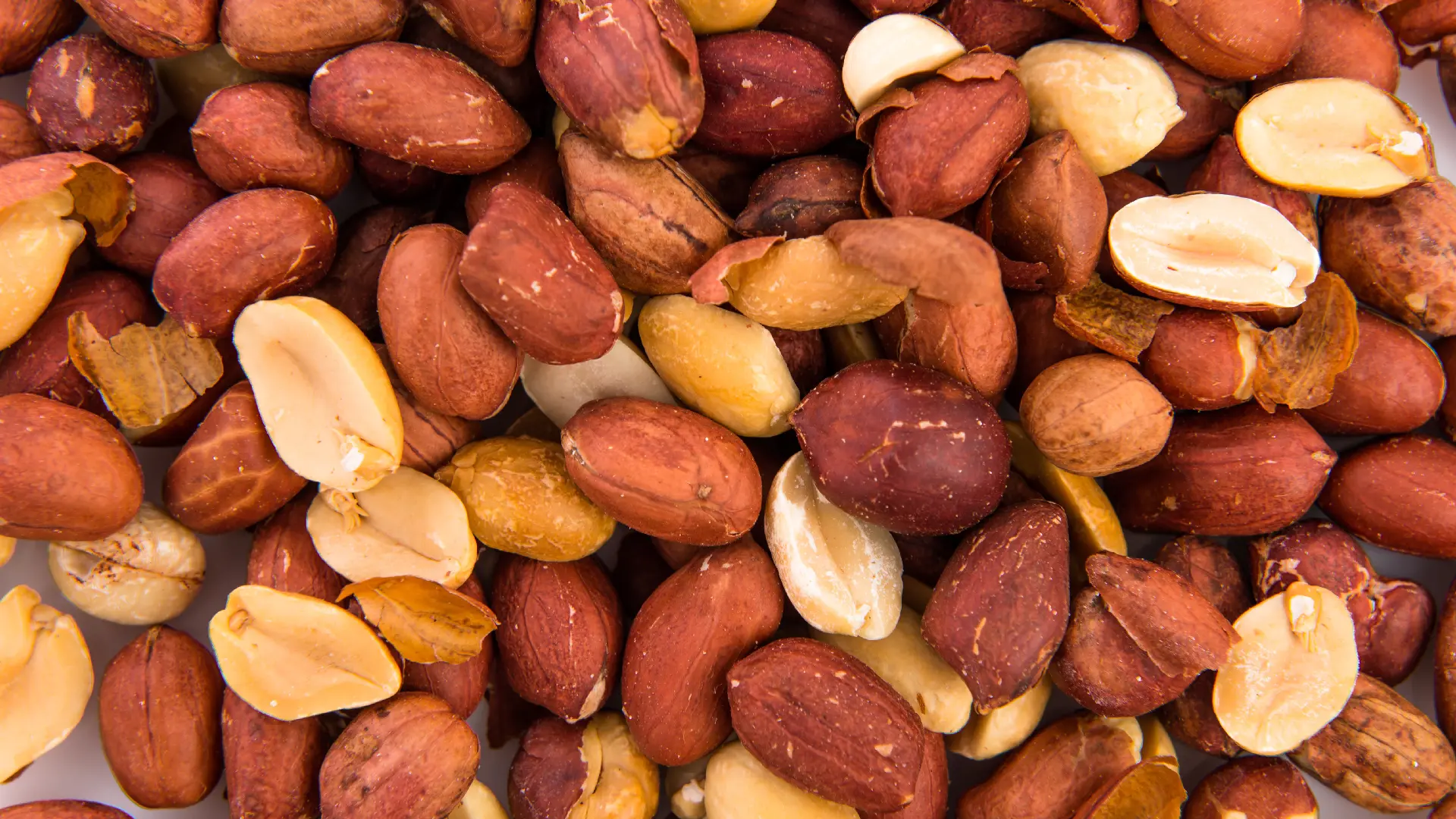 Ядра арахиса Groundnut Kernel