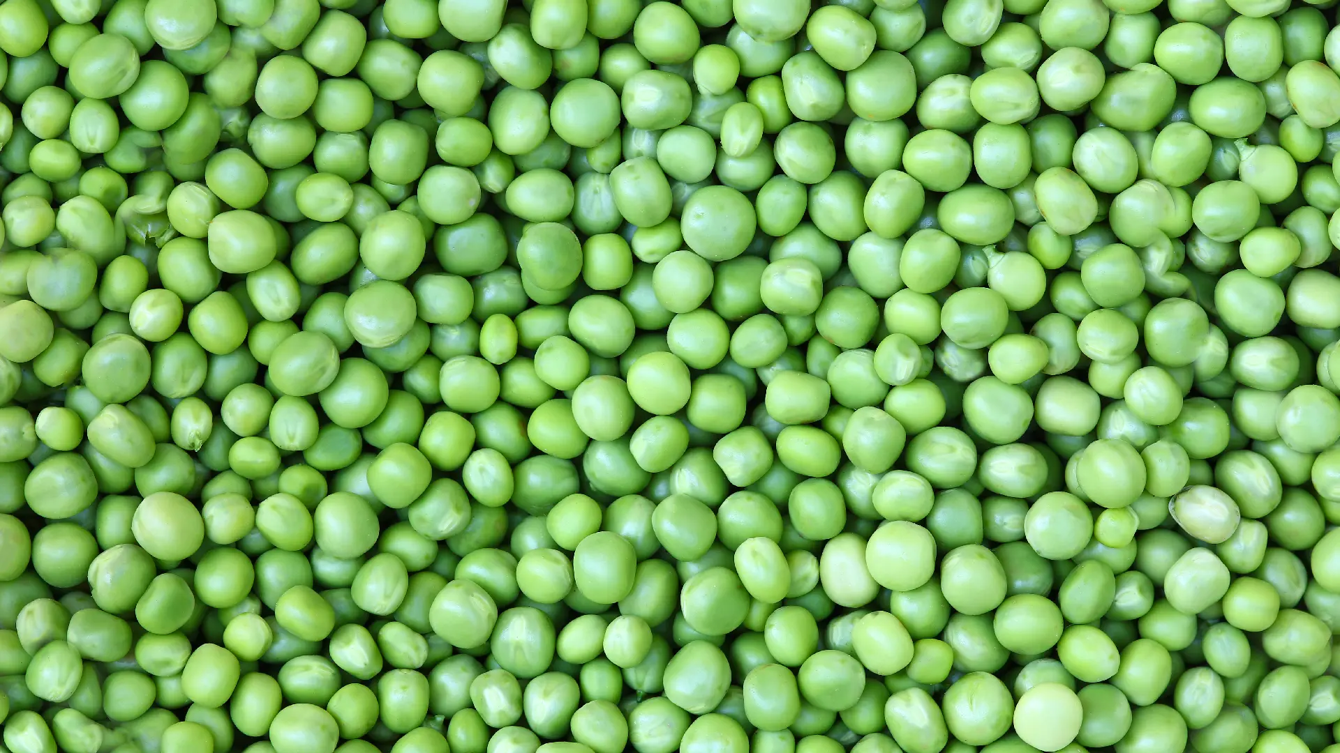 Зелёный горох Green Peas