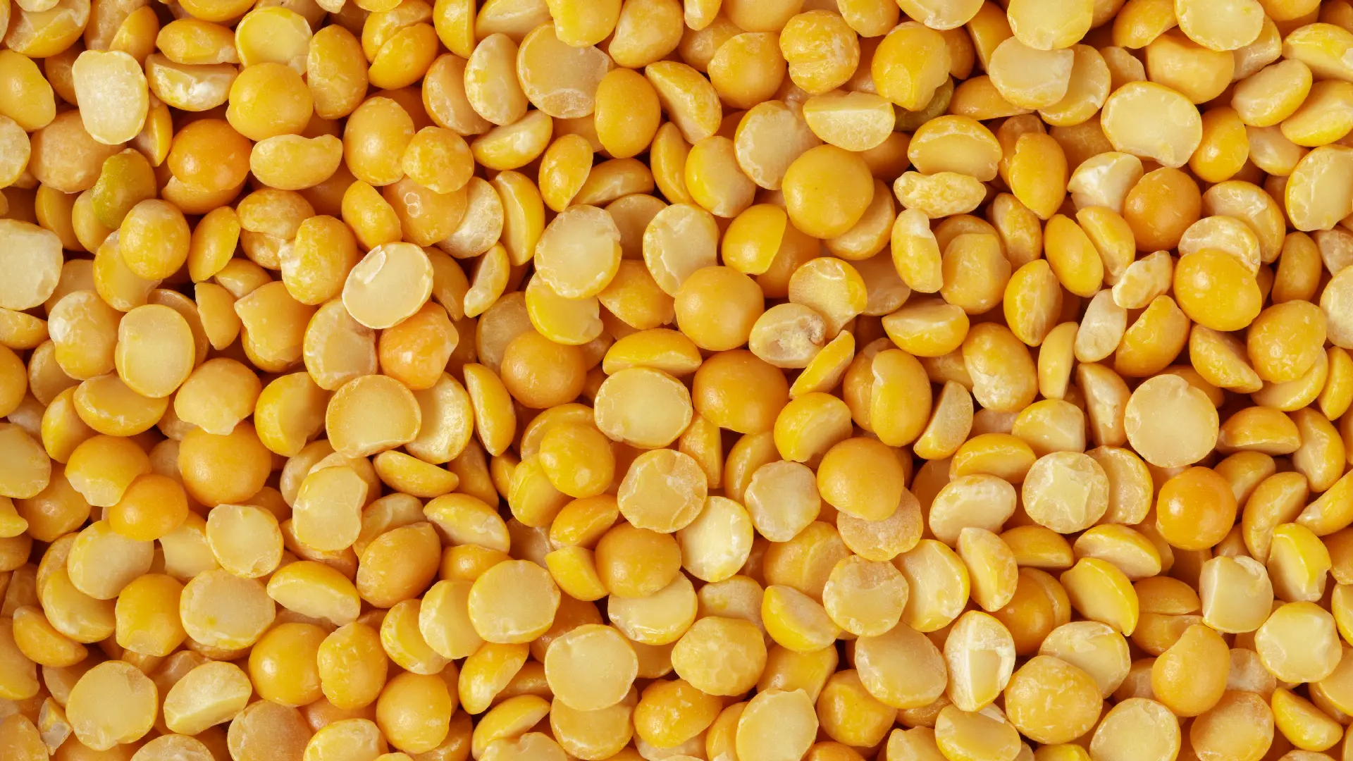 Жёлтый горох Yellow Peas